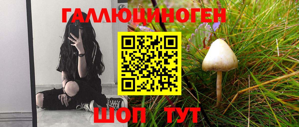 Псилоцибиновые грибы Psilocybine cubensis Орёл
